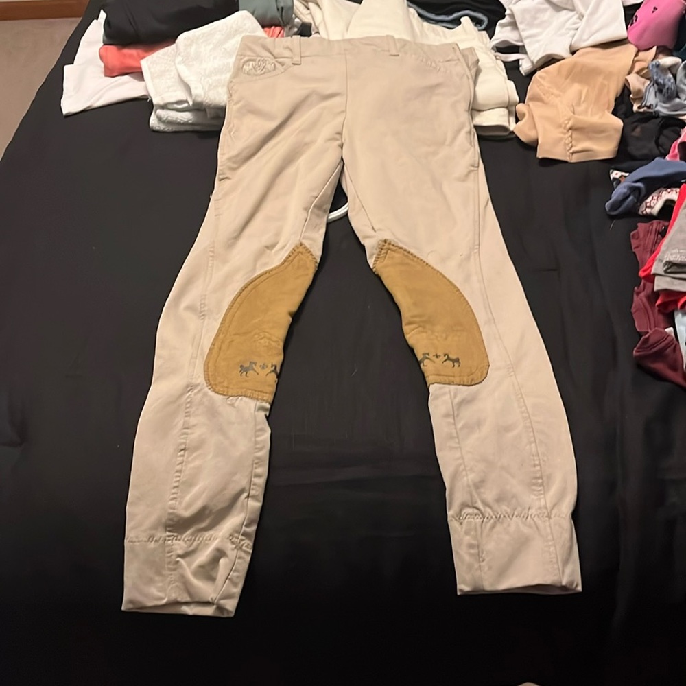 Riding Breeches